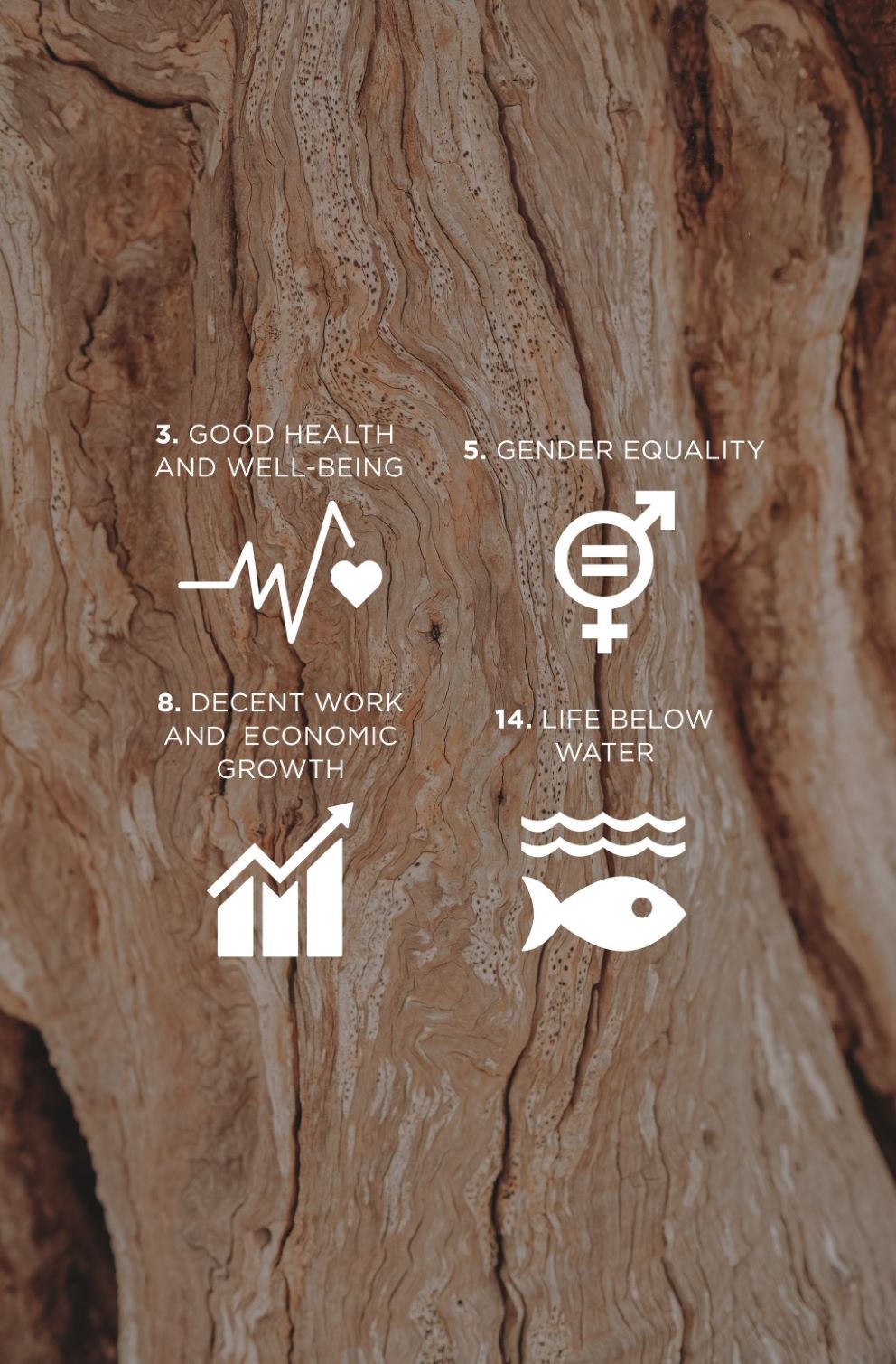 UN Sustainable Development Goal icons — Good Health and Well-being, Gender Equality, Decent Work and Economic Growth, and Life Below Water. Overlaid in white on a tree bark background.