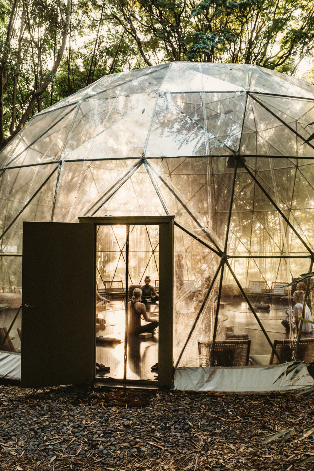 Geodesic dome in a bamboo forest.