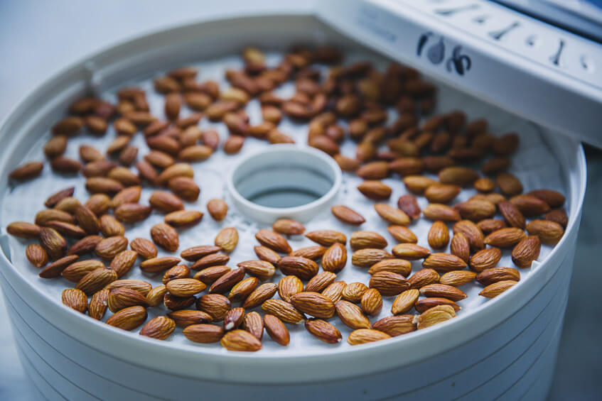 everything you need to know about activating nuts in dehydrator after being soaked in water and salt