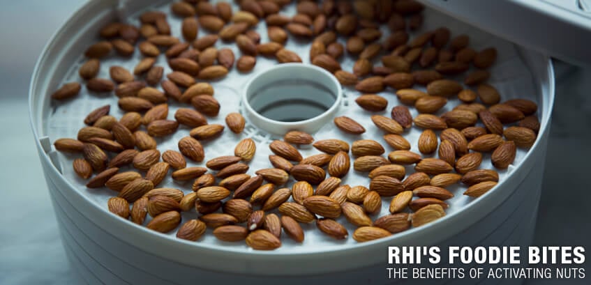 activating nuts with a dehydrator after nuts being soaked